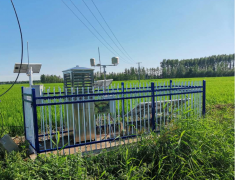 U8国际土壤墒情监测仪助力内蒙古扎赉特旗