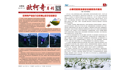 2022年第十一期《U8国际月刊》发行