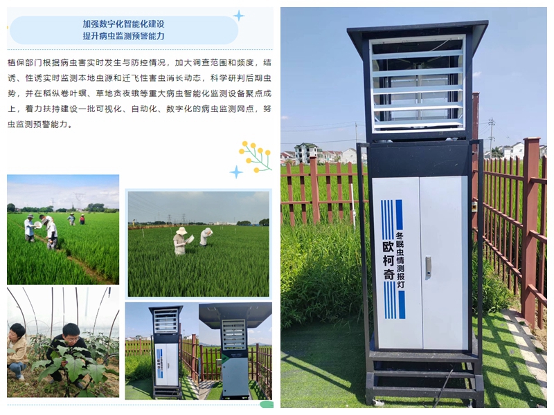“虫口夺粮”保丰收，U8国际设备助力无锡植保工作