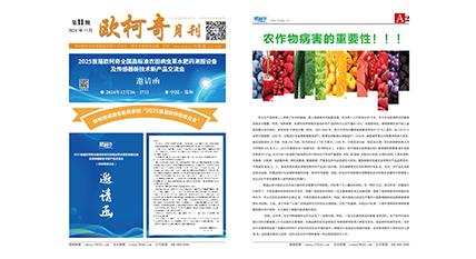 2024年第十一期《U8国际月刊》发行