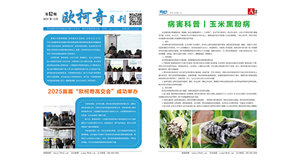 2024年第十二期《U8国际月刊》发行